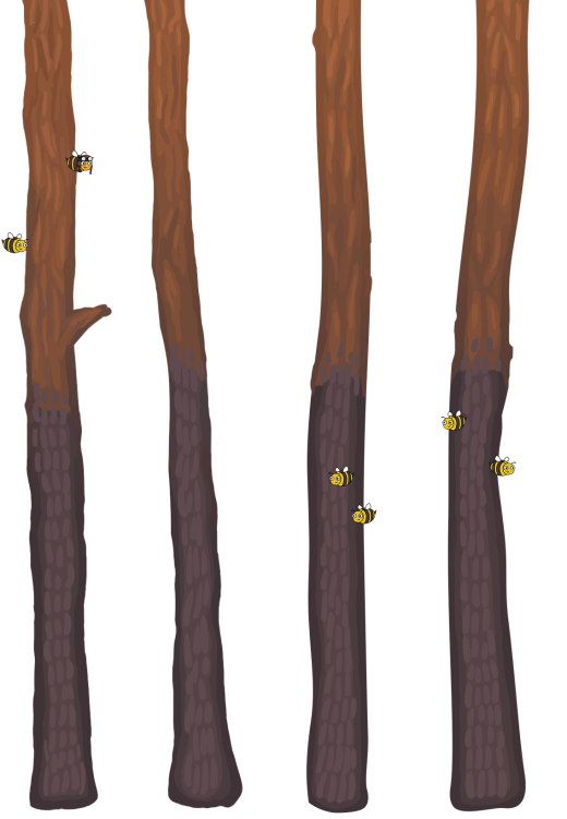 treesandbees